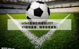 cctv5直播在线播放(CCTV5现场直播，畅享体育盛宴)