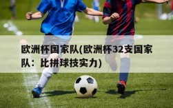 欧洲杯国家队(欧洲杯32支国家队：比拼球技实力)