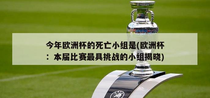 今年欧洲杯的死亡小组是(欧洲杯：本届比赛最具挑战的小组揭晓)